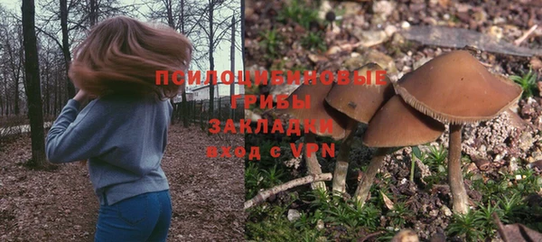 соль ск Белокуриха