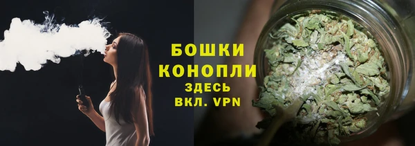 соль ск Белокуриха